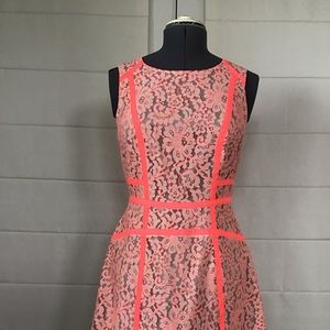 Lace Sheath Dress